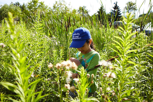 What is nature connection?