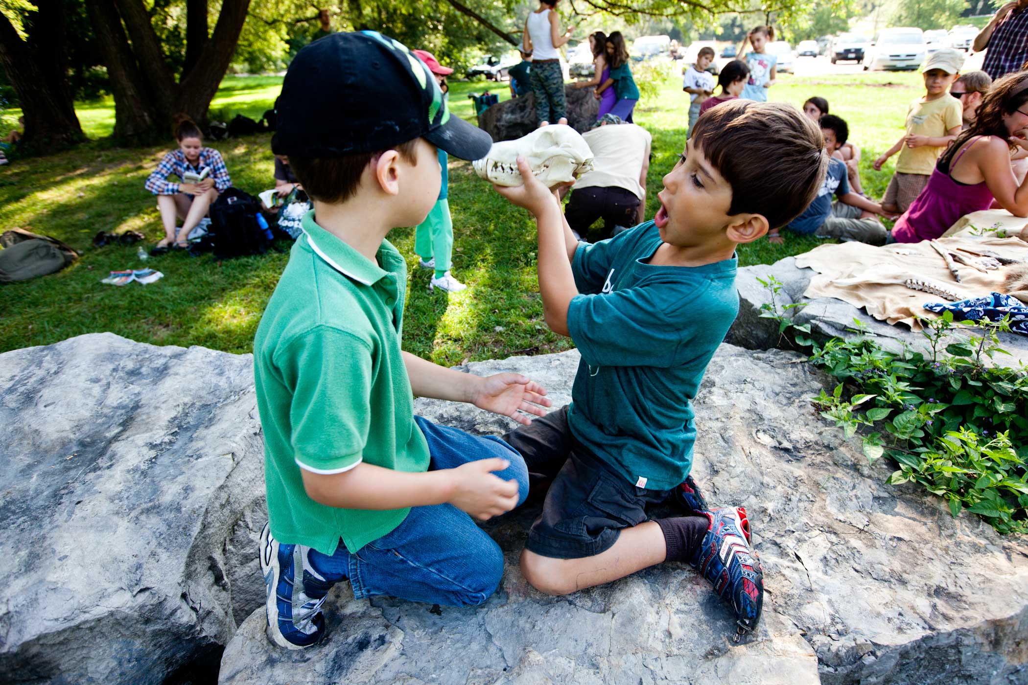 Summer Day Camps