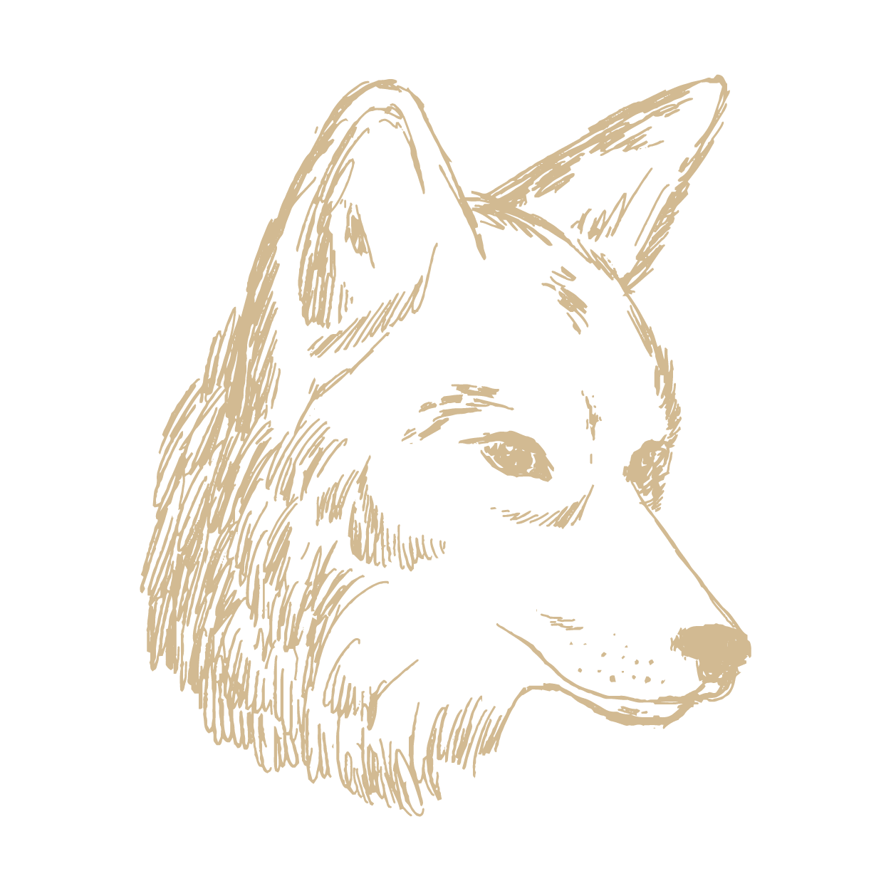 Videographer: Red Wolf Overnight Camp Video