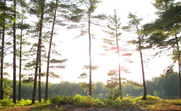 A Parent’s Perspective on Nature Connection