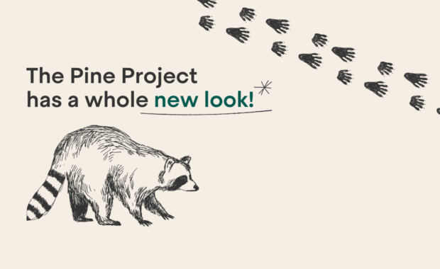 The Pine Project has a whole new look!