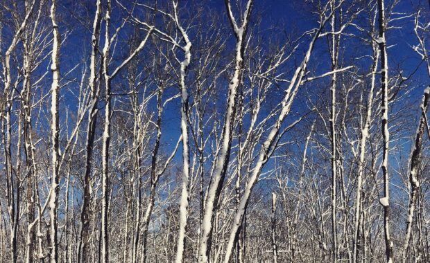 Advancing Our Commitment to Diversity, Equity and Inclusion