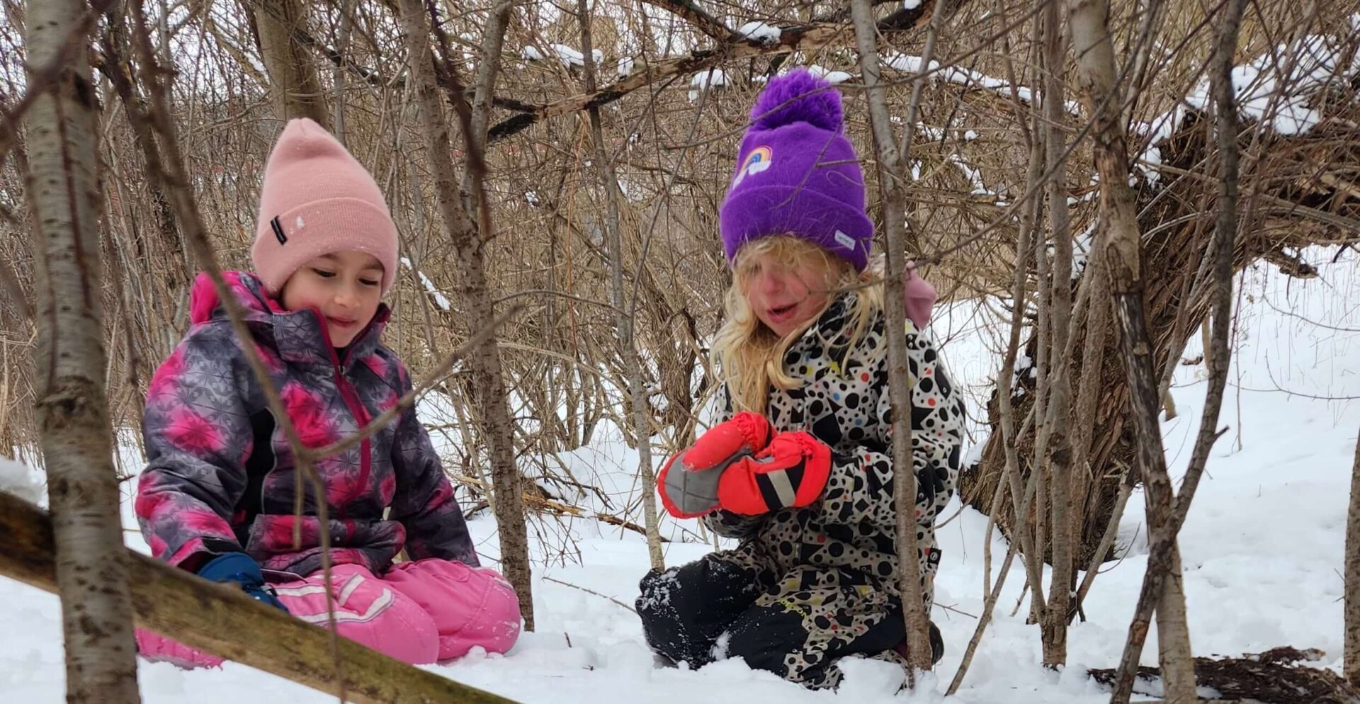 Join Pine's March Break Day Camp for a week of outdoor adventure and hands-on nature discovery!