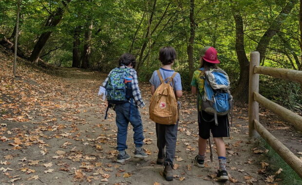 Exciting Updates Shaping the Pine Project’s Future