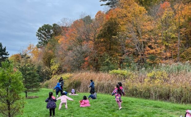 Beyond the schoolyard: Outdoor learning with Pine and two TDSB school communities